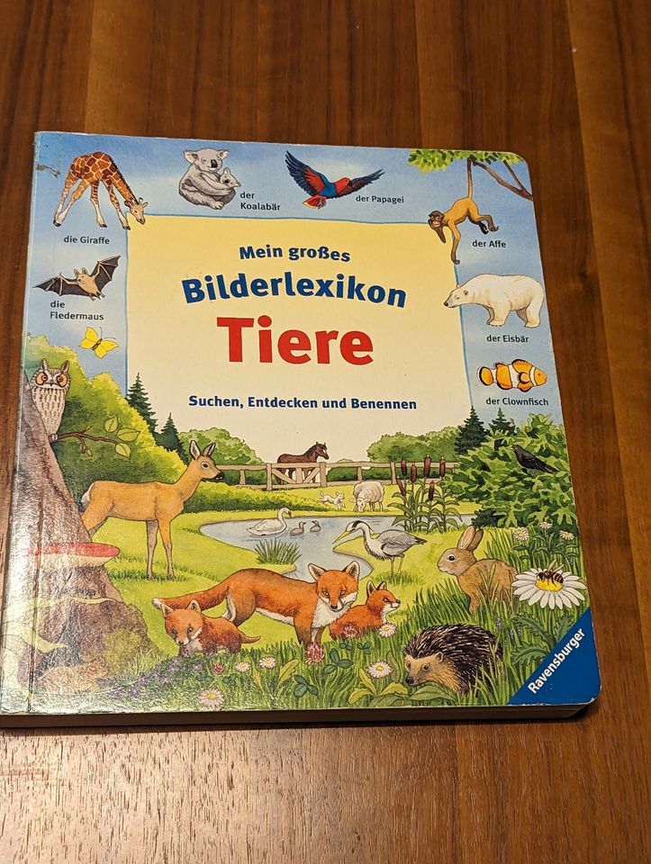 10 x Kinderbücher Bücher Kinder in Wickede (Ruhr)