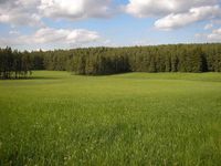 Grünland, Wiese, Acker Baden-Württemberg - Wangen im Allgäu Vorschau