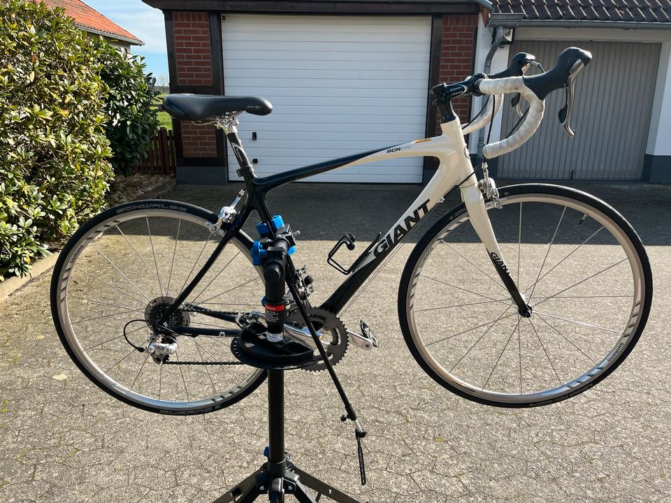 Rennrad Giant SCR CW Carbon Modell 2006 in Wittingen