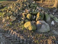 Findlinge, Feldsteine, Steine Gartenbau Niedersachsen - Dötlingen Vorschau