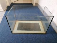 Terrarium Aquarium Glaskasten Nordrhein-Westfalen - Werne Vorschau