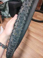 Schwalbe tough Tom  57-622 29x2,25 fahrradreifen Rostock - Lichtenhagen Vorschau