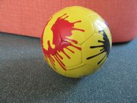 Puma Instinct Ball unbespielt Bayern - Arzberg Vorschau