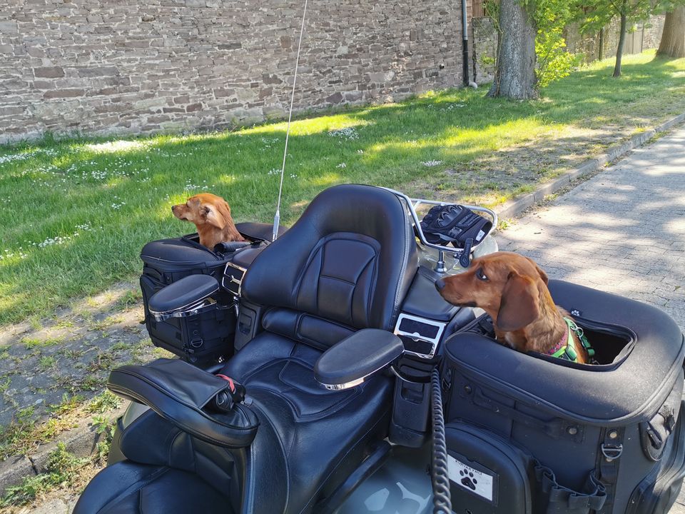 Honda-Trike - Lieberhaberstück in Hessisch Oldendorf