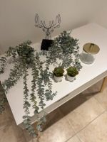 Kunstpflanzen, Kunstblumen, Metall schwarz, Deko Teenizimmer, Nordrhein-Westfalen - Oerlinghausen Vorschau