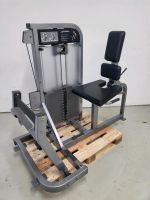 LIFE FITNESS PRO 2 SEATED HORIZONTAL CALF WADE GYM KRAFTGERÄT Münster (Westfalen) - Gremmendorf Vorschau