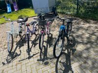 Fahrräder zu verkaufen Niedersachsen - Norden Vorschau