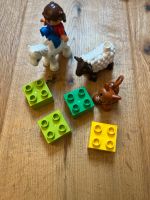 Lego Duplo Tierbabys auf dem Bauernhof Nürnberg (Mittelfr) - Nordstadt Vorschau