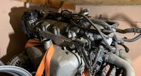 Motor mit Getriebe Polo 6n2 Schleswig-Holstein - Nortorf Vorschau