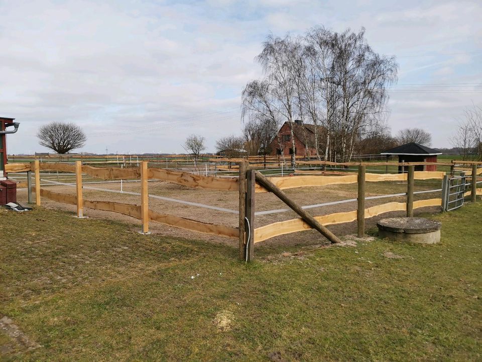 Allergiegeeigneter Offenstallplatz für Stute mit Stutfohlen in Schnakenbek