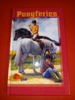 Ponyferien Gill Morrell Kinderbuch Pony Club geb. Brandenburg - Cottbus Vorschau