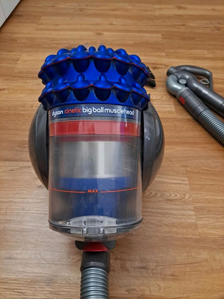 Dyson Cinetic Big Ball Musclehead in Mannheim