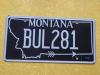 US Kennzeichen Montana License Plate Hessen - Wabern Vorschau