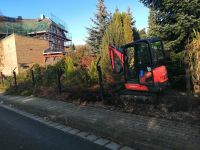 MINI-BAGGER - Baumfällarbeiten , Wurzel Entfernung, Stubbenfräse. Brandenburg - Calau Vorschau