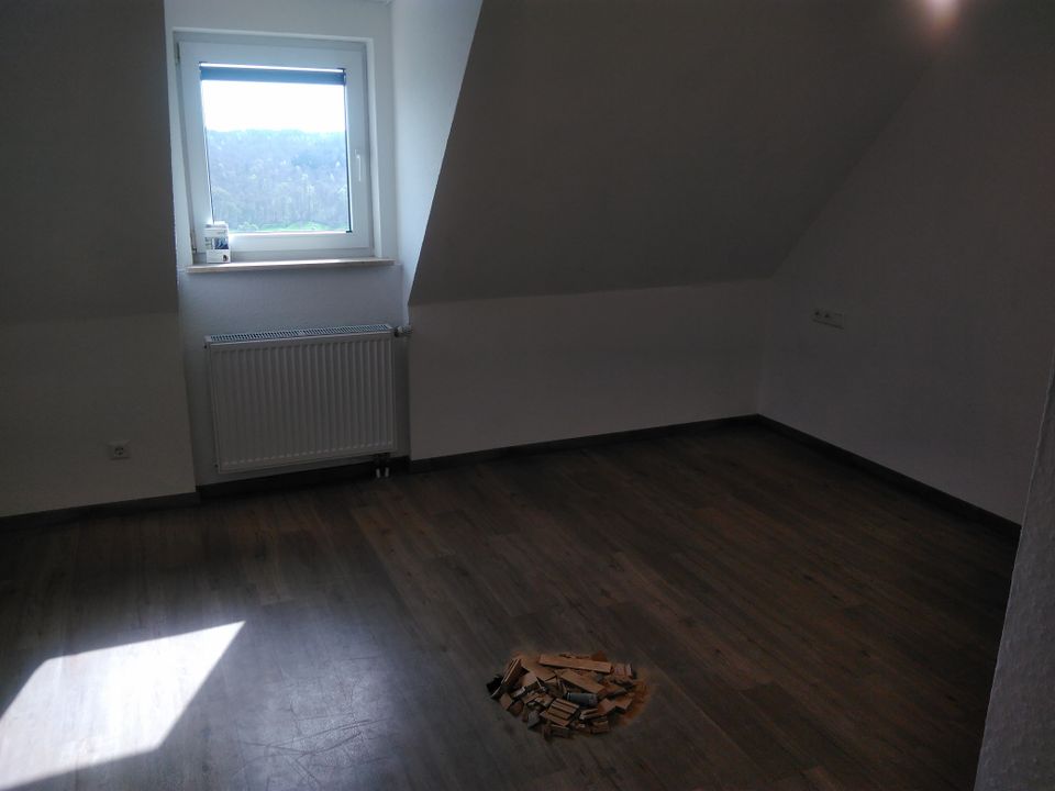 Neuwertig renovierte 4 Zimmer Wohnung in Waldenburg