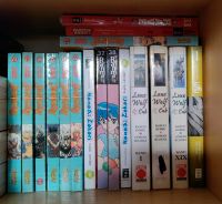 SUCHE Crescent City, Emma, Karneval, Young Bride Story Manga Nordrhein-Westfalen - Simmerath Vorschau