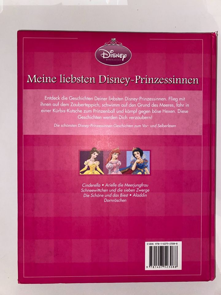 Disney Prinzessinnen Geschichten in Aschaffenburg