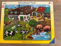Puzzle 33 teile Ravensburger Tierfamilien Rahmenpuzzle 06618 Leipzig - Holzhausen Vorschau