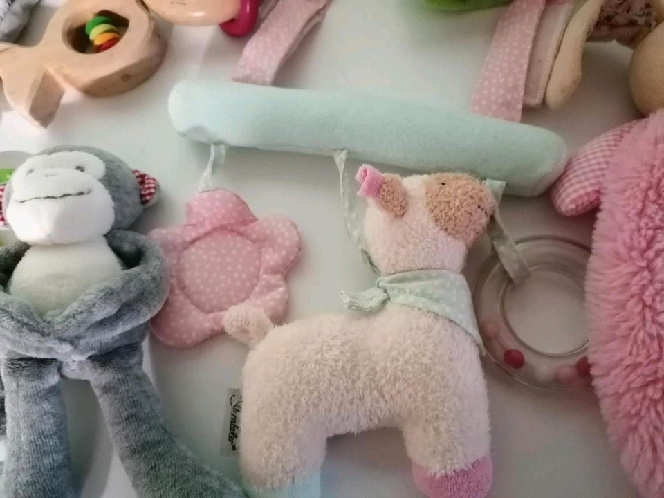 Baby Spielzeug und Kuscheltücher Set in Blieskastel