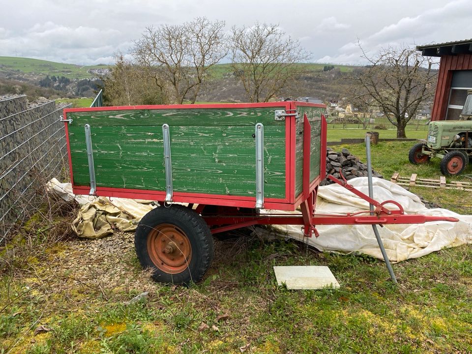 Hermann Lanz Aulendorf D315 + Kegelspalter Holzspalter in Waldrach