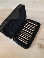 Hohner Bluesharb-Set zu verkaufen Hessen - Rodgau Vorschau