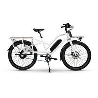 Simply.Lift NEO E-Lastenrad 2.490,00 € Wandsbek - Hamburg Bergstedt Vorschau