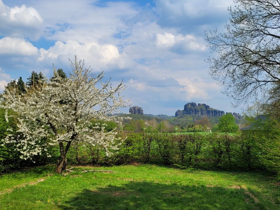 Ferienwohnung 2 Personen + Hund Bad Schandau Sächsische Schweiz in Bad Schandau