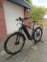 Leaderfox Orem E-Bike Rheinland-Pfalz - Schönenberg-Kübelberg Vorschau