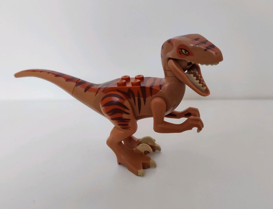 LEGO Dinos - T-Rex - Velociraptor - Coelophysis in Extertal