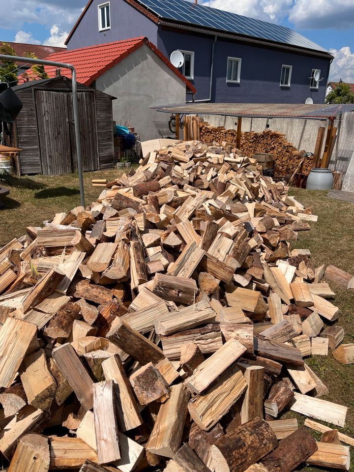 Brennholz ofenfertig inkl. Lieferung! in Altenstadt an der Waldnaab