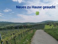 Neues zu Hause gesucht Baden-Württemberg - Auggen Vorschau