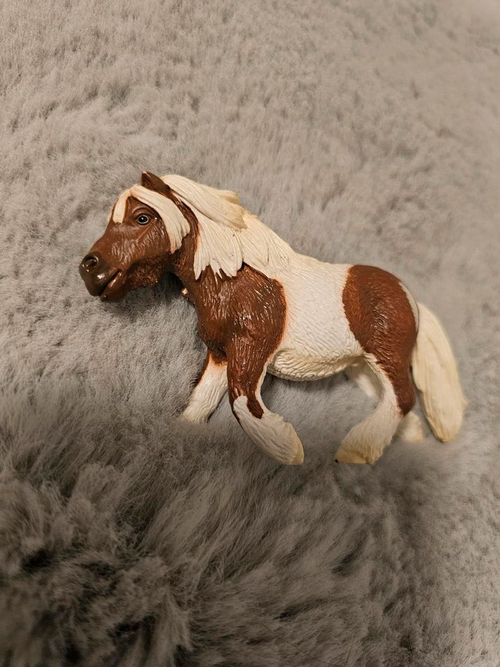 Schleich shetland pony 13297 in Braunschweig