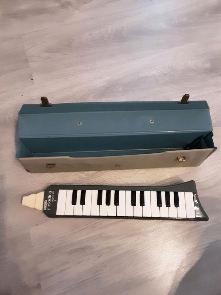 Melodica Piano 26 in Steinfeld