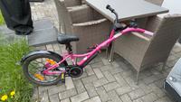 Fahrrandanhänger Tandem Prometheus Joint Nordrhein-Westfalen - Freudenberg Vorschau