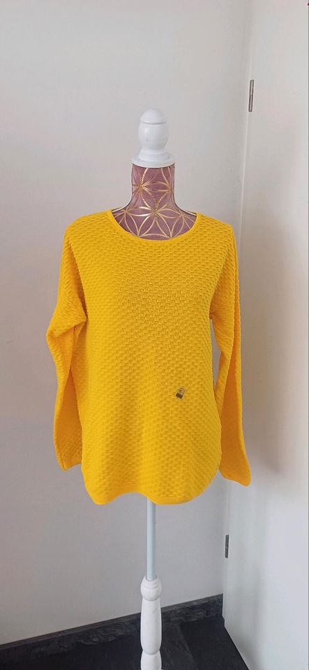 Tom tailor 100% Baumwolle Damen pullover in Bergkamen