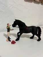 Schleich Pferd mit Figur & Futter Schleswig-Holstein - Schuby Vorschau