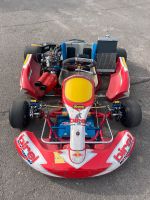 Gokart Rennkart Kart Birel Schaltkart Schalter 125ccm fahrbereit Brandenburg - Großbeeren Vorschau