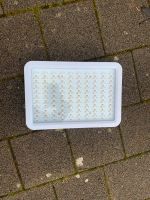 Wachstumslampe für Pflanzen Baden-Württemberg - Engen Vorschau