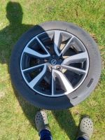 4 x Reifen mit Originalfelgen für NISSAN X TRAIL 225/55R19 Brandenburg - Zossen-Zesch am See Vorschau