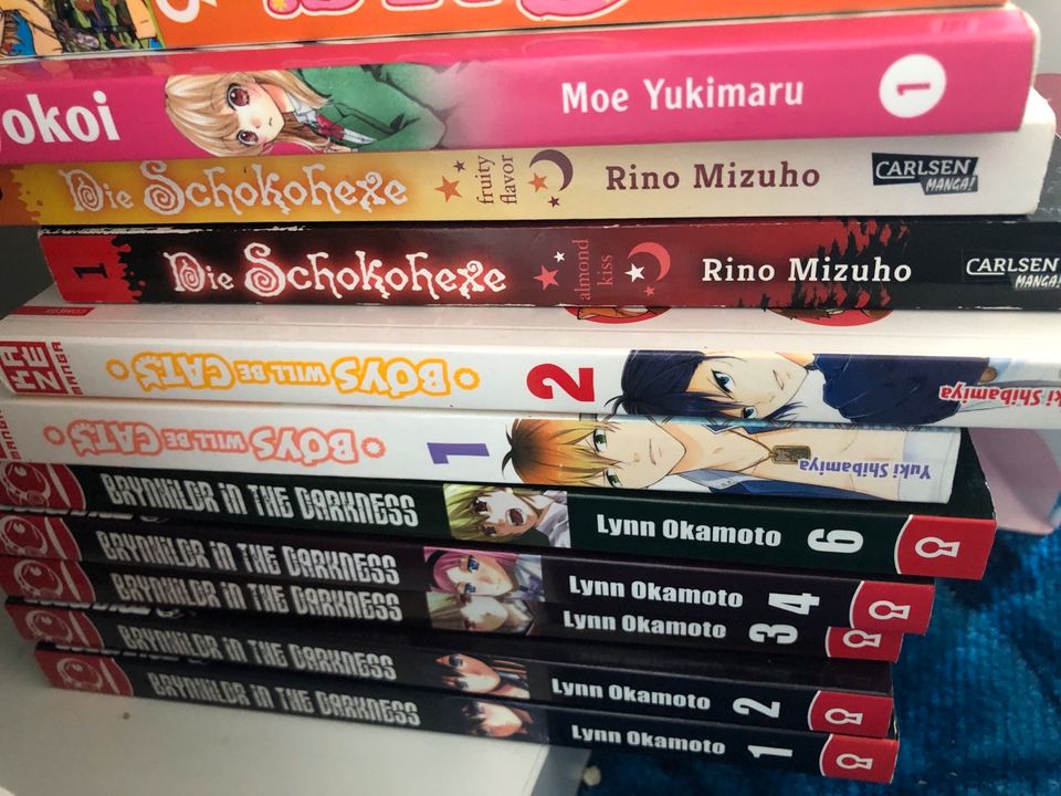 Verkaufe / Tausche Manga Sammlung in Berlin