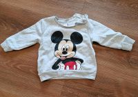 Disney Pullover Schleswig-Holstein - Kiebitzreihe Vorschau