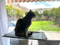 Fensterliege für Katzen Hessen - Büdingen Vorschau