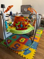 Fisher-Price Spielspaß Rainforest Jumperoo, Tür-Hopser Rügen - Ostseebad Binz Vorschau