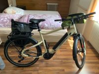 Haibike Trekking 4 mit Shimano XT 10-Gang  e-Bike NP 3500€ Bayern - Maxhütte-Haidhof Vorschau