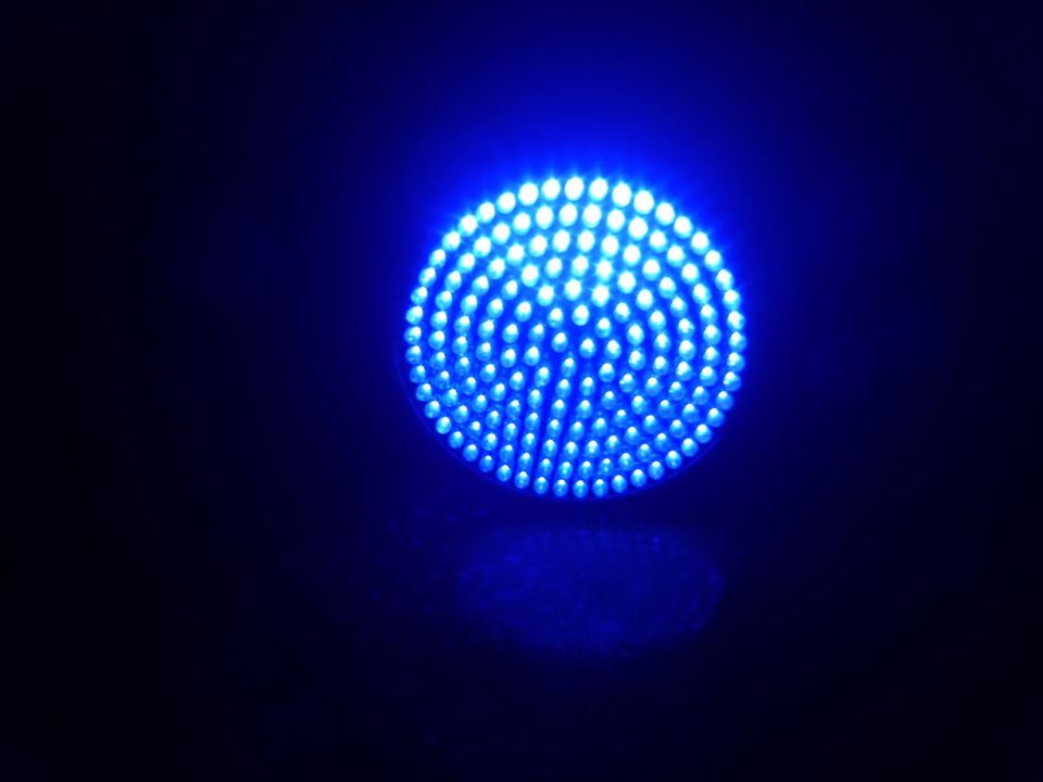 Pflanzenlampe LED GrowBulb 10 Watt blau rund E27 in Bamberg