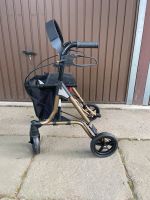 Leichtgewichtsrollator Dietz Taima S GT Rollator Neu unbenutzt Arnsdorf - Kleinwolmsdorf (Arnsdorf) Vorschau