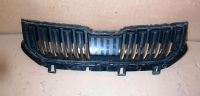 Skoda Karoq Kühlergrill Frontgrill Radiator 57A853653B Baden-Württemberg - Neckarbischofsheim Vorschau