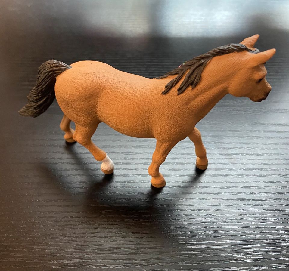 Schleich Pferd: Connemara Pony Stute - 13863 in Merseburg