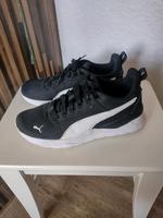 Puma Sportschuhe Größe 39 Schleswig-Holstein - Itzehoe Vorschau
