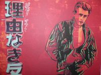 Andy Warhol "James Dean" Lithografie 50x35cm limitiert, GERAHMT! Nordrhein-Westfalen - Gronau (Westfalen) Vorschau